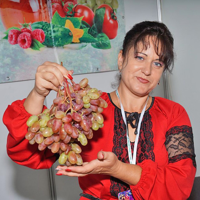 На виставці в Запоріжжі українські виноградарі представили найкращі сорти сонячної ягоди. Фото автора