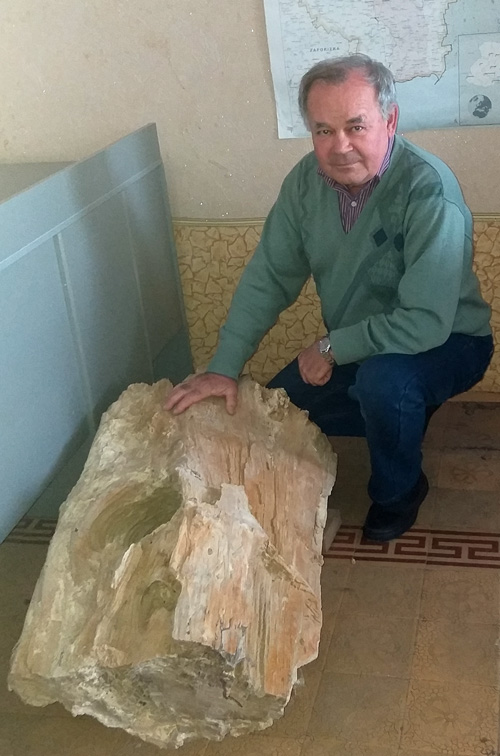 Найбільший за розміром експонат університетського музею — скам’яніла деревина з Новопскова. Її вага близько 170 кг, а вік — приблизно 45—50 мільйонів років