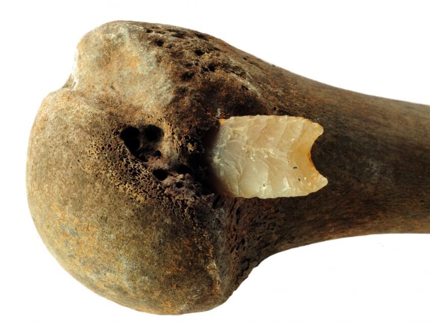 У 1996 році археолог-любитель виявив кістку передпліччя, що стирчала з берега річки, і кремінний наконечники стріли, встромлений в один кінець кістки. 