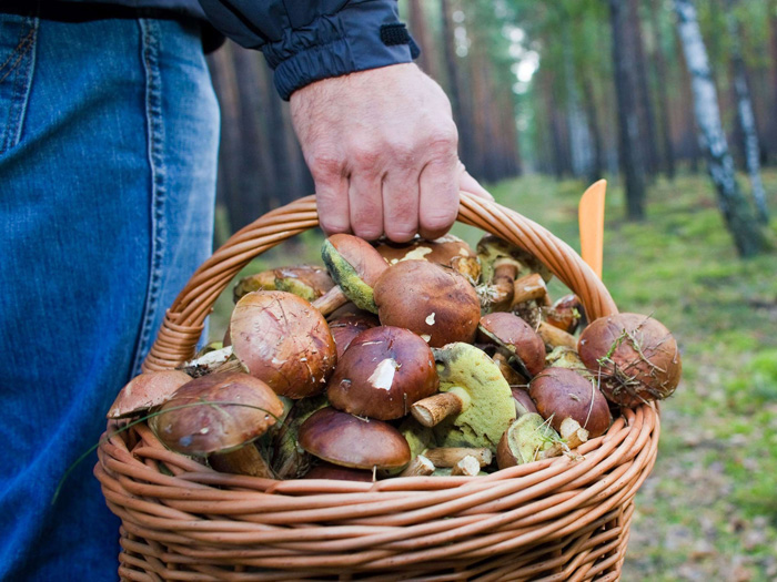 Під час посту смакуйте страви з грибами. Фото з сайту panorama.pub