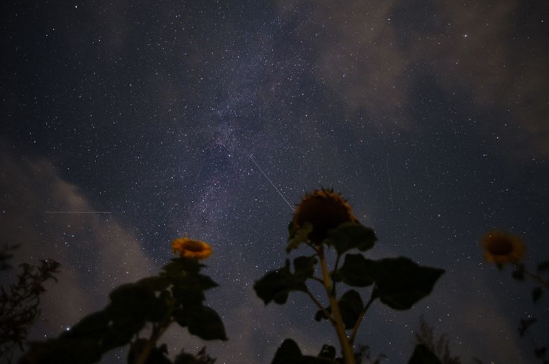 Падаючі зірки в небі над Антендорфом, Нижня Саксонія, Німеччина.