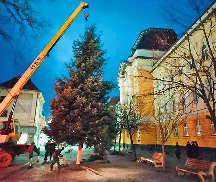  Новорічна красуня займає традиційне місце в центрі Берегового. Фото надане автором
