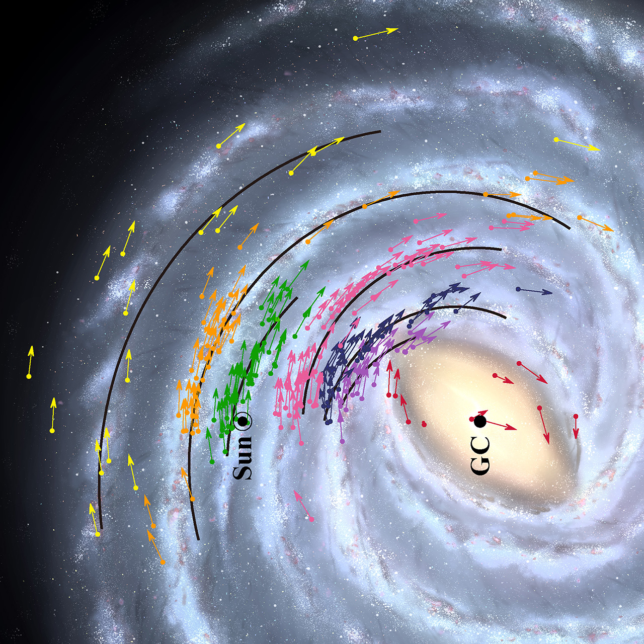 Карта положення об'єктів Чумацького Шляху. Стрілками показано дані про місцезнаходження і швидкість 224 об'єктів, використаних для моделі Галактики. Суцільними чорними лініями показано положення спіральних рукавів. Кольором позначені групи об'єктів, що належать одному рукаву. Credit: NAOJ