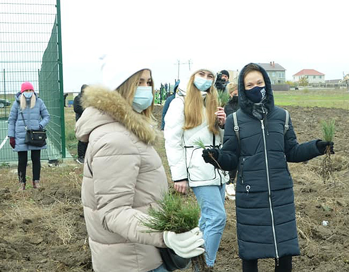 У висадці сосен взяли участь небайдужі миколаївці. Фото надане автором