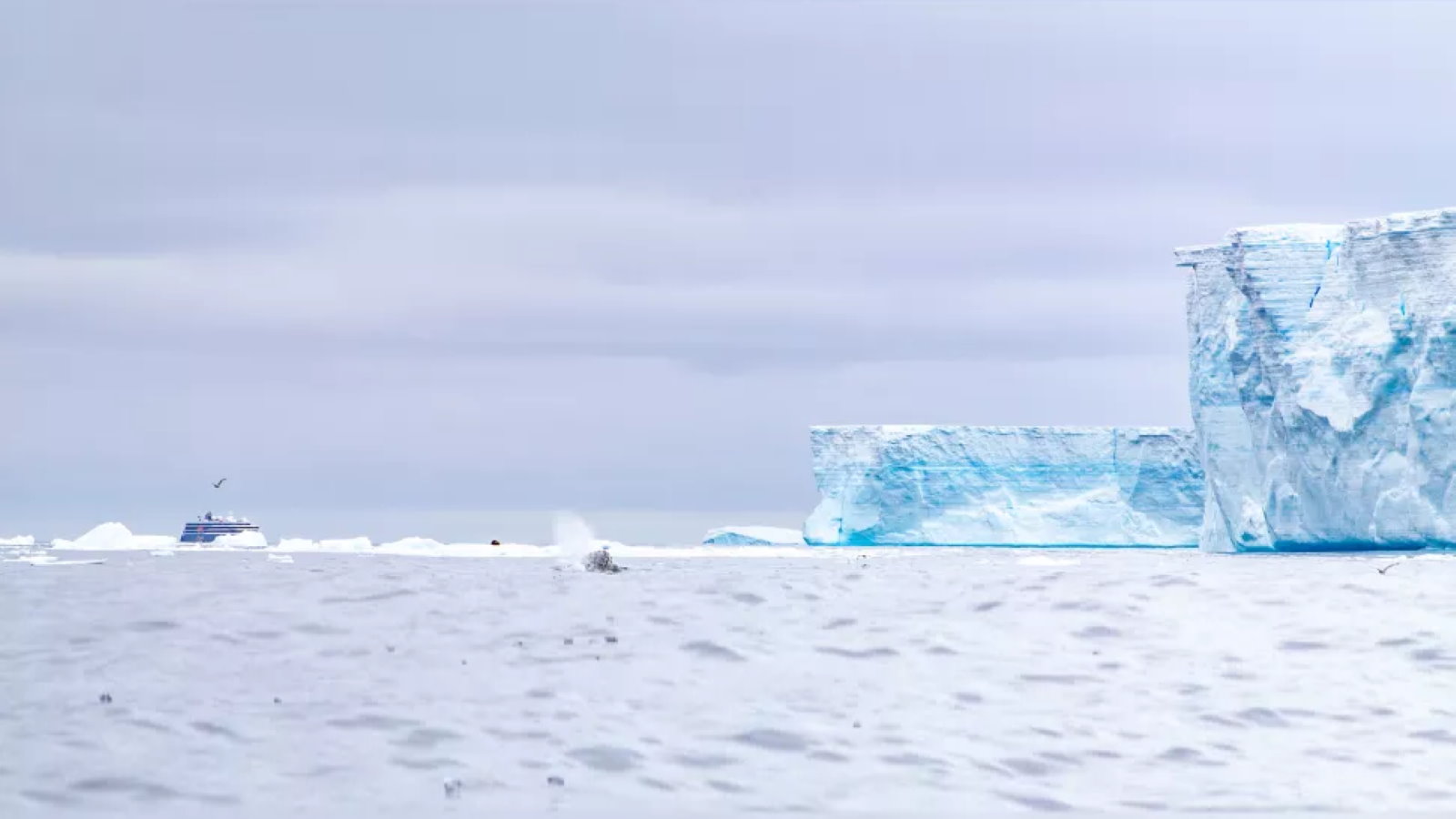 Експедиційний корабель "Експлорер" наближається до краю айсберга A-68a  © Henry Páll Wulff, CC BY 4.0