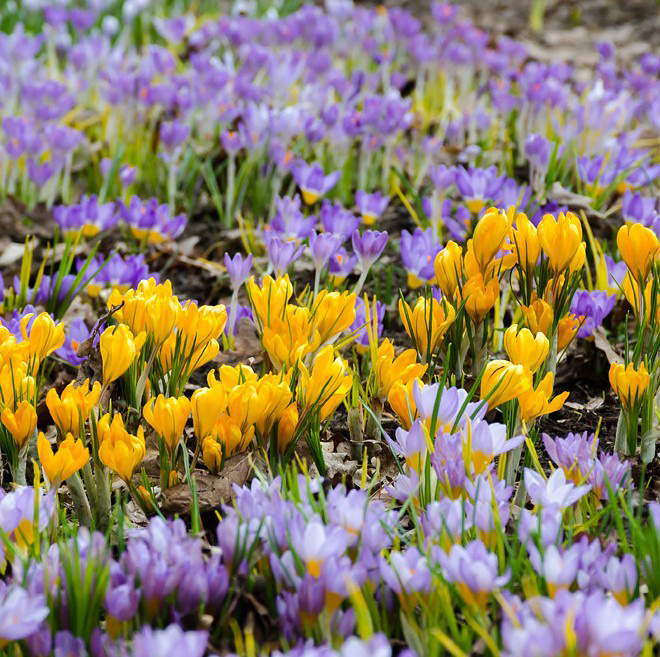 Фото з сайту x-vymir.com
