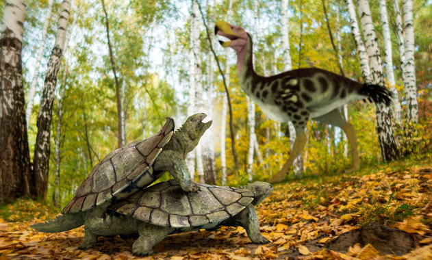 Реконструкція  реліктової  черепахи Laurasichersis, яка жила в північній півкулі 66 мільйонів років тому. / Хосе Антоніо Пеньяс (SINC)