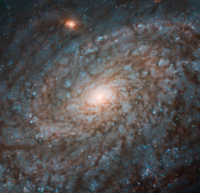 NGC 4237. Фото: ESA/Hubble & NASA, P. Erwin et al.