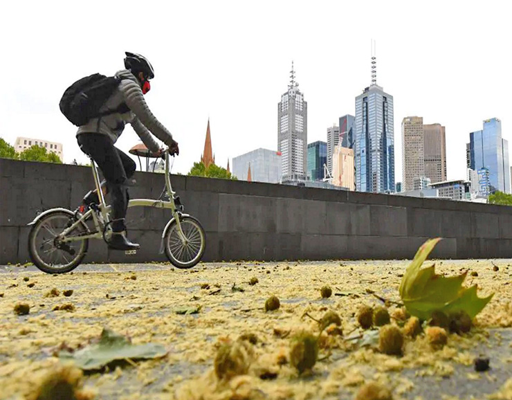 Під час карантину мешканці Мельбурну більше стали користуватися велосипедом — для спортивного навантаження в першу чергу. Фото з з сайту eraldsun.com.au