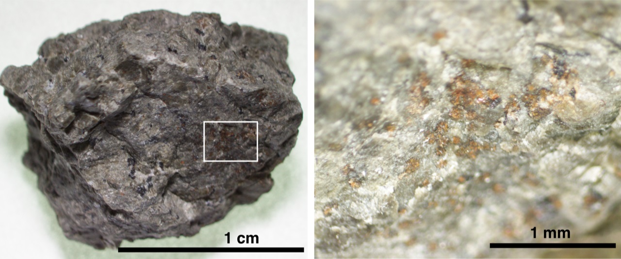 Фрагмент марсіанського метеорита ALH 84001 (зліва). Збільшена ділянка (праворуч) показує карбонатні зерна оранжевого кольору. Credit: Koike et al. (2020) Nature Communications