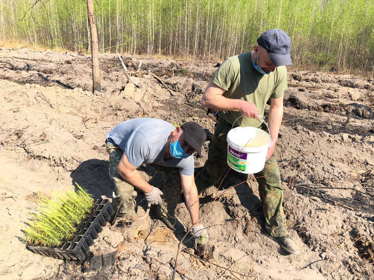 2.	Карантин карантином, а турбота про майбутнє лісу — святий обов’язок. Фото надані пресслужбою Житомирського ОУЛМГ (обласного управління лісового та мисливського господарства).
