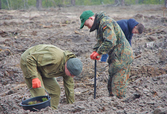Замало ліс посадити, важливо зберегти його від пожеж і крадіїв