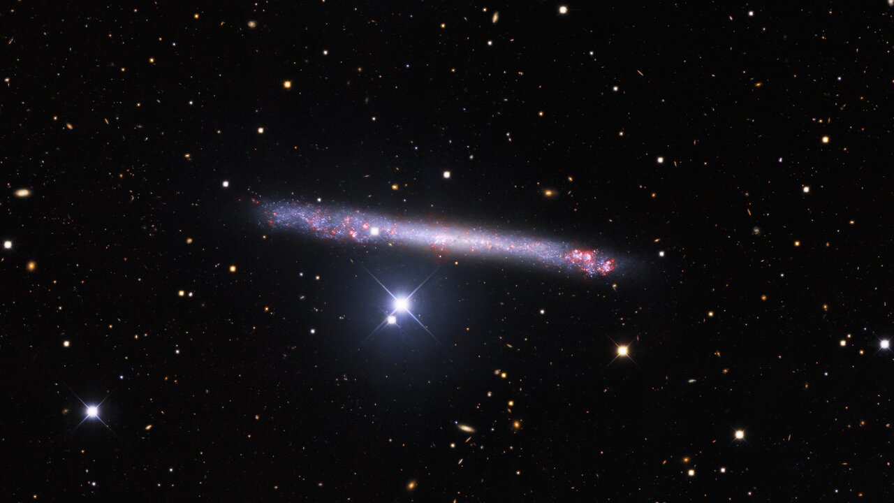 Галактика IC 2233. Credit: KPNO / NOIRLab / NSF