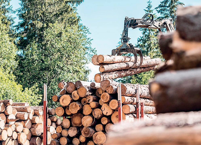 Деревопереробники потребують контрактування лісосировини | Відкритий ліс