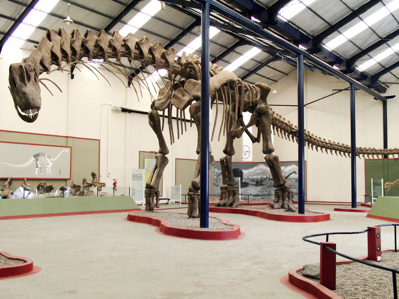 Реконструкція скелета аргентинозавра, довжина 40 метрів.