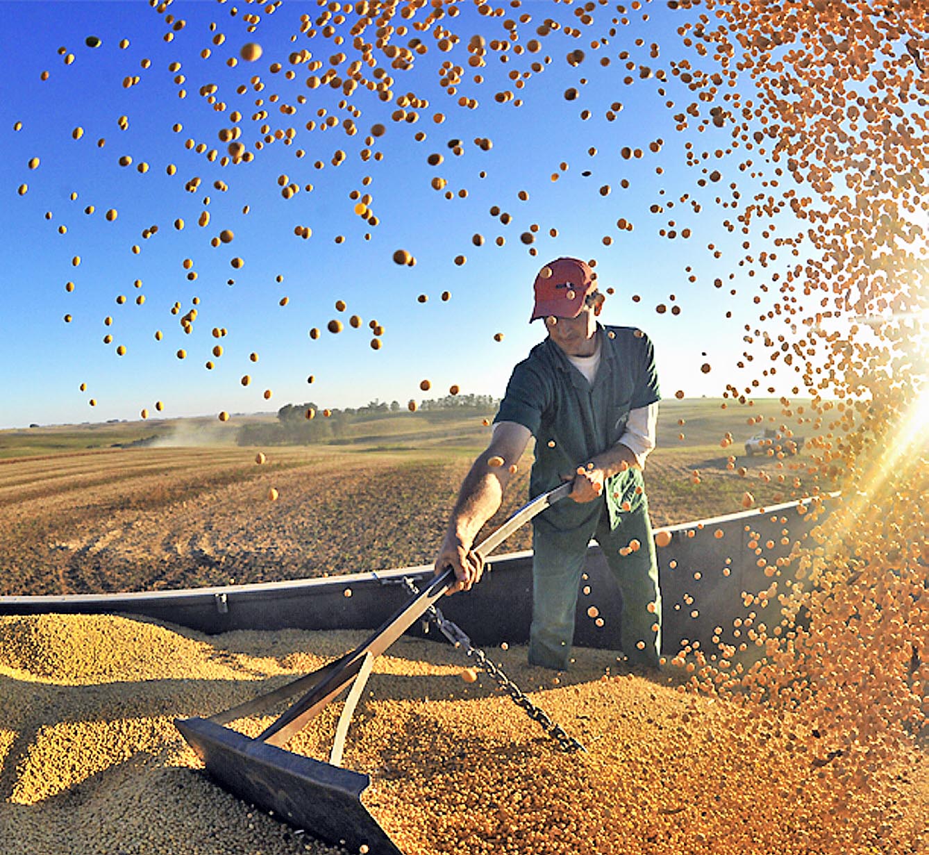 Добрий урожай зернових 2021 року на Полтавщині — результат комплексу заходів, своєчасно проведених у господарствах. Фото з сайту agravery.com
