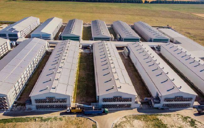 Приміщення пташників «Овостар Юніон» 