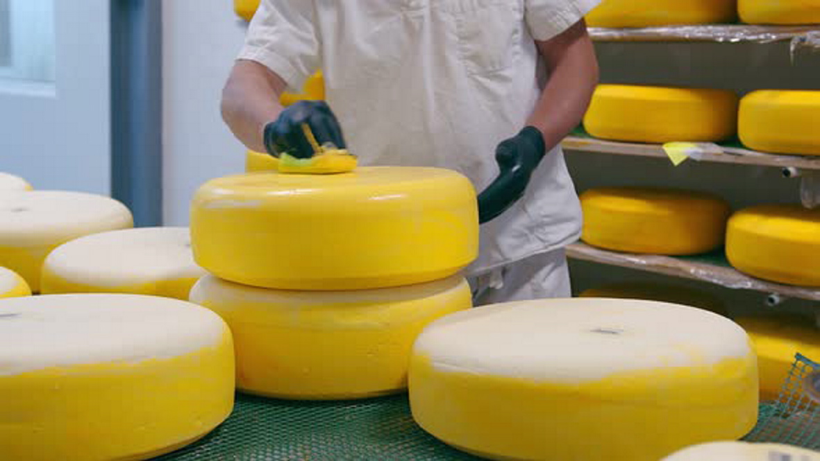 За останні місяці з України експортовано понад тисячу тонн сирів. Фото з сайту envato.com
