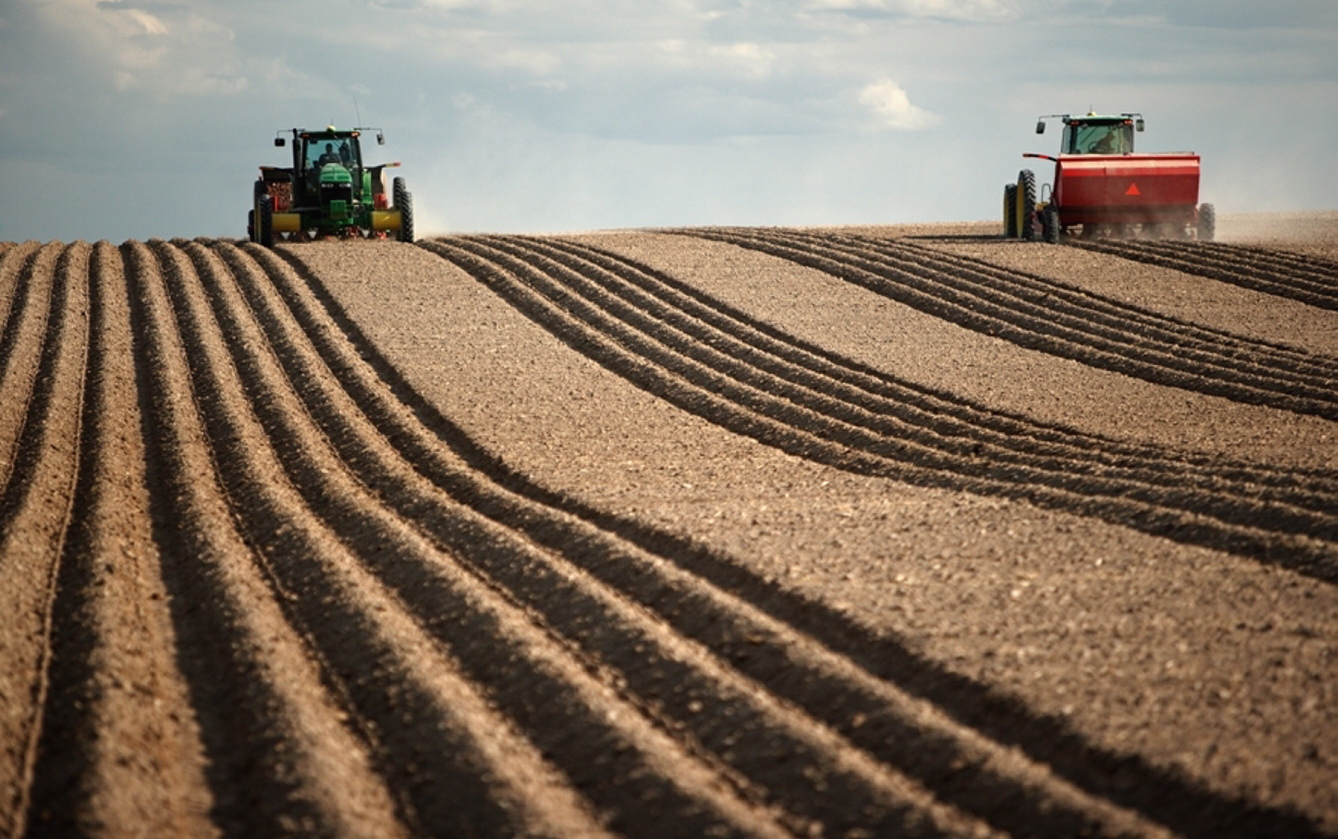 Землі сільськогосподарського призначення — один з найважливіших ресурсів країни. Фото з сайту landlord.ua