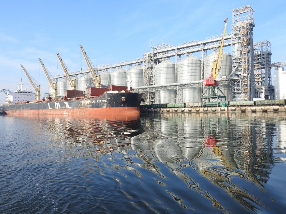 До 24 лютого Миколаївський морський порт був лідером з перевалки олії. Фото з сайту landlord.ua