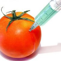 За рік ГМО не викорінили
