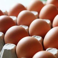 Проблема варта виїденого яйця