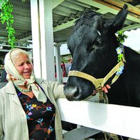 Корова у дворі — є робота у селі