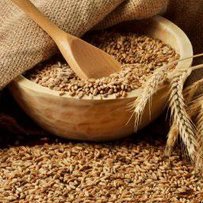  Микола НЕЇЛИК: «Три тонни зерна на жителя — не межа»