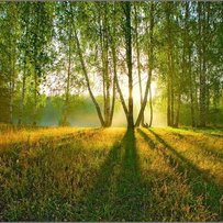 Олег ЮРКЕВИЧ:  «Коли за деревами видно ліс»