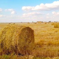 Людмила Клєбанова:  «Закордонний досвід дає шанс жінкам-фермерам, і вони його використовують»