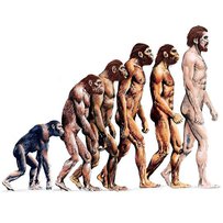 Еволюційна теорія вченого-теолога