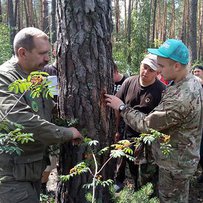 Вища лісівнича освіта в Україні: куди йдемо?