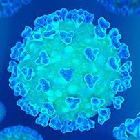 Інформаційна довідка щодо питань, пов’язаних з коронавірусом COVID-19 станом на 24.03.2020
