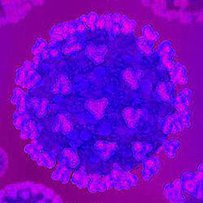 Інформаційна довідка щодо питань, пов’язаних з коронавірусом COVID-19 станом на 25.03.2020