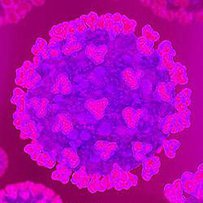 Інформаційна довідка щодо питань, пов’язаних з коронавірусом COVID-19 станом на 30.03.2020