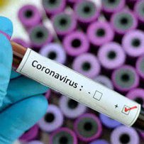 Теорія про штучне походження коронавірусу не підтвердилася