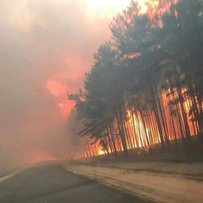 Лісової пожежі з такою кількістю жертв старожили Луганщини не пам’ятають