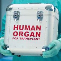 Трансплантація: шанси на повноцінне життя зростають