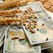 Ринок зерна: кому стабільність, кому безпека