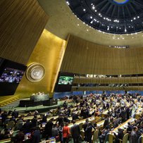 Генасамблея ООН підтримала формулу миру