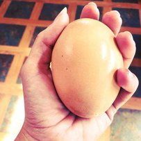 В Австралії курка знесла велетенське аномальне яйце (фото)
