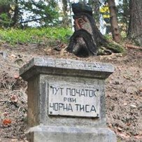 Де бере початок Тиса