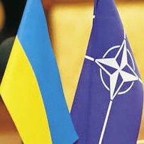 НАТО допомагає очистити нашу землю