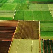На Полтавщині понад  60 тисяч гектарів землі використовують неофіційно