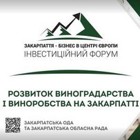Виноробство повертає собі колишню славу