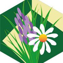 Трав’яна ніша для агросправи