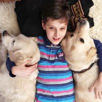 Службова песотерапія  для малих вихованців «Сонечка»