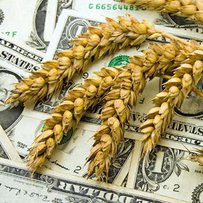 Гроші під аграрну розписку
