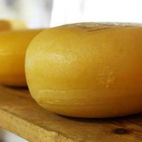 Їстимемо ромашкові сири й масло