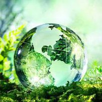 Наша країна твердо стоїть на позиції європейського зеленого курсу